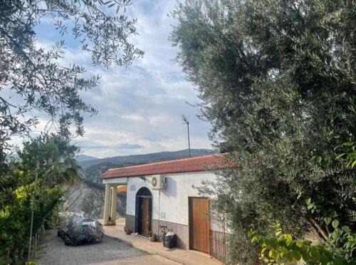 Photo of Others in Alcolea