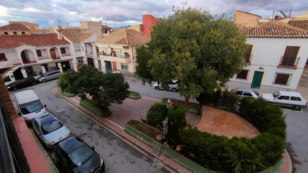 Photo of Others in La Zubia