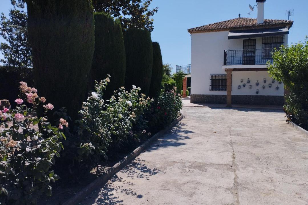 Photo of Others in Camino de Ronda