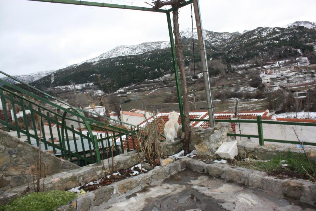 Photo of Others in Quentar