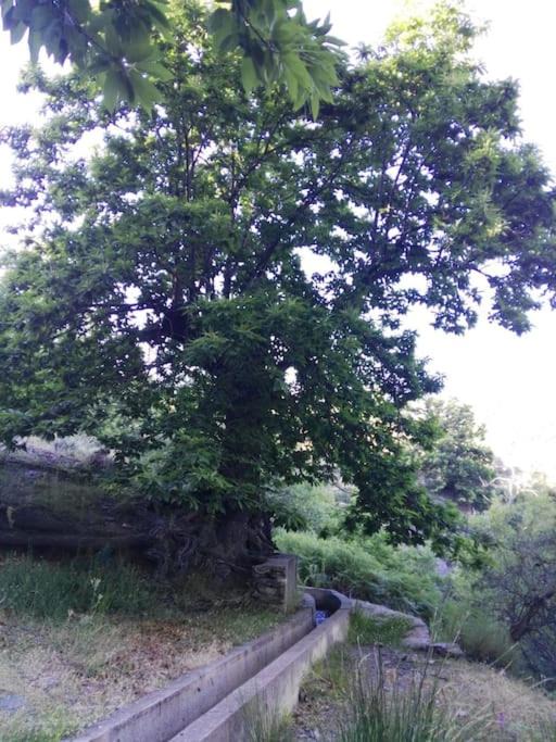 Photo of Outdoor in Picena