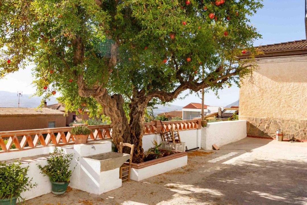 Photo of Others in Niguelas
