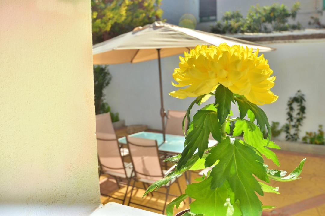 Photo of Patio Balcony in Beiro