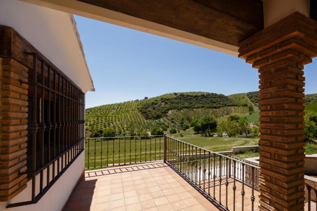 Photo of Others in Alhama de Granada