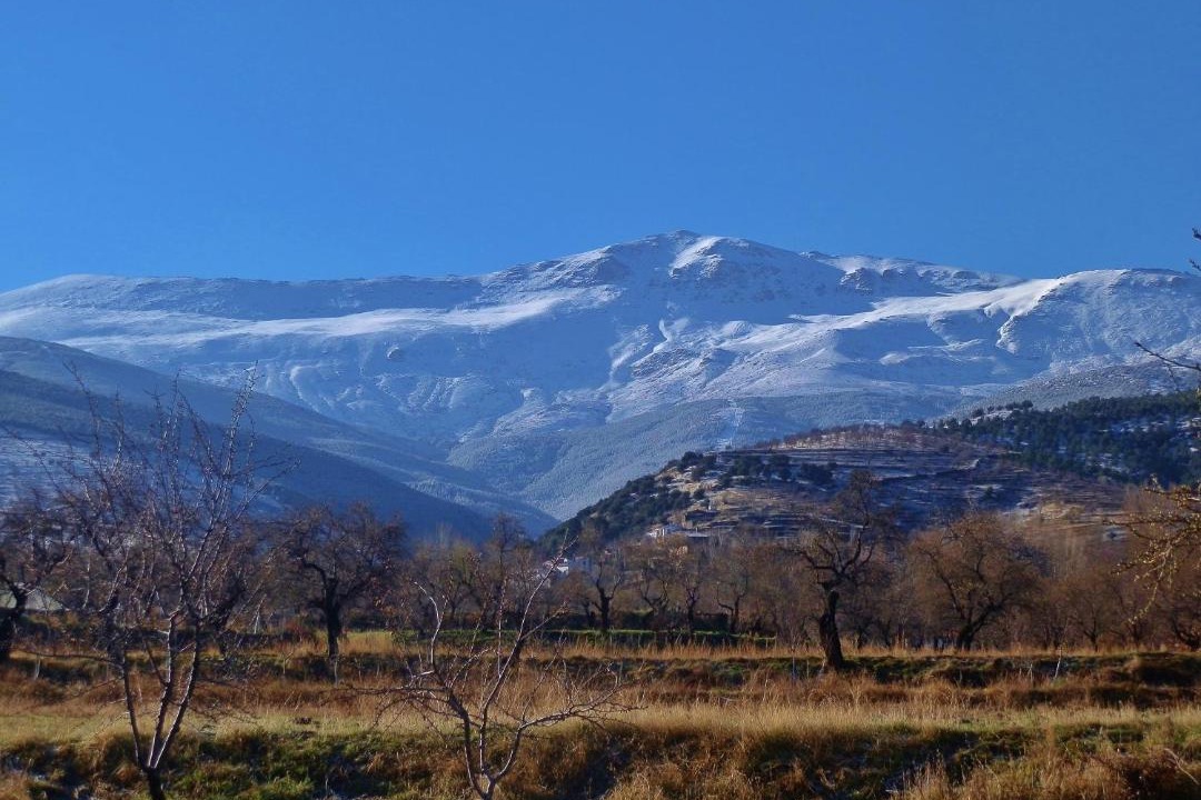 Photo of Others in La Calahorra