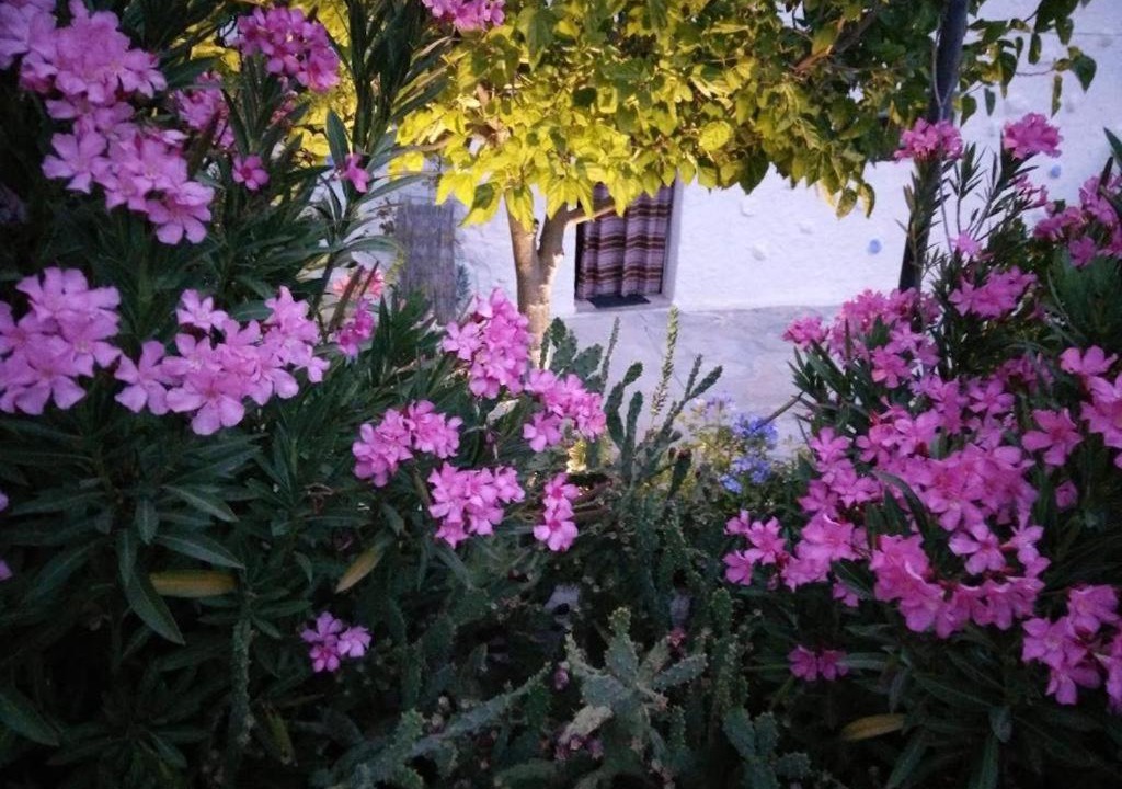 Photo of Others in Villanueva de las Torres