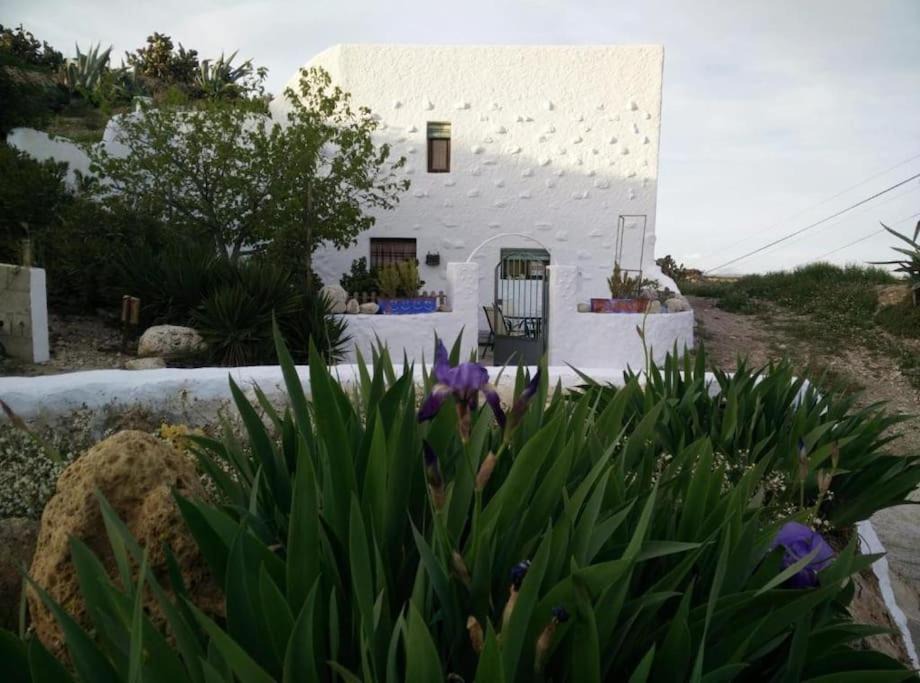 Photo of Others in Villanueva de las Torres