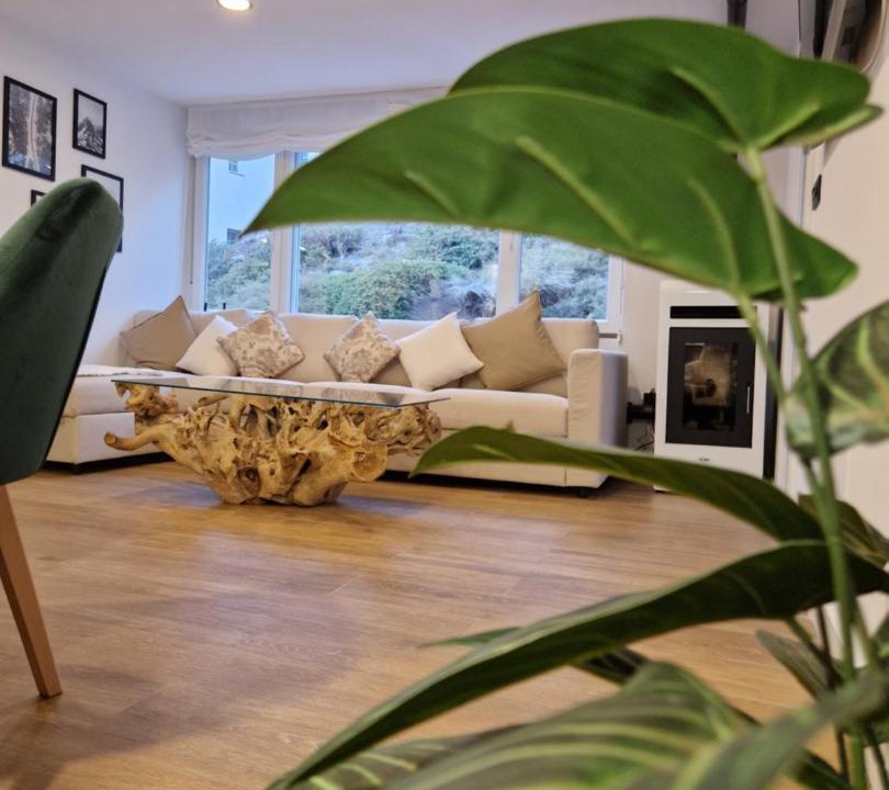 Photo of Livingroom in Pradollano