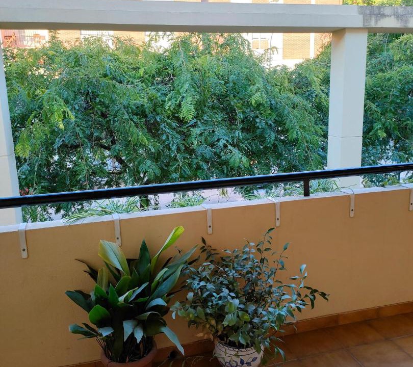 Photo of Patio Balcony in Norte