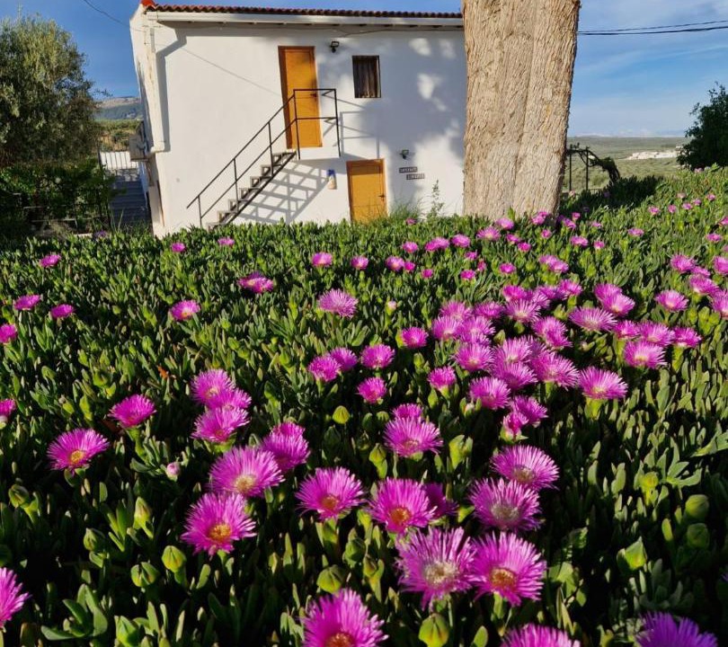 Photo of Buildings in Illora