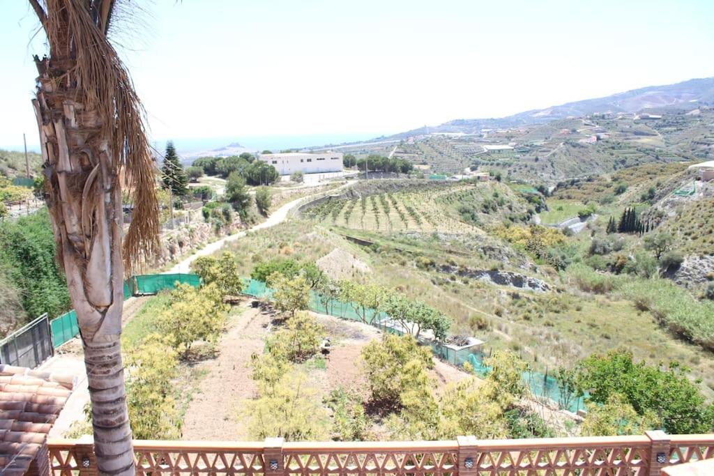Photo of Others in Molvizar