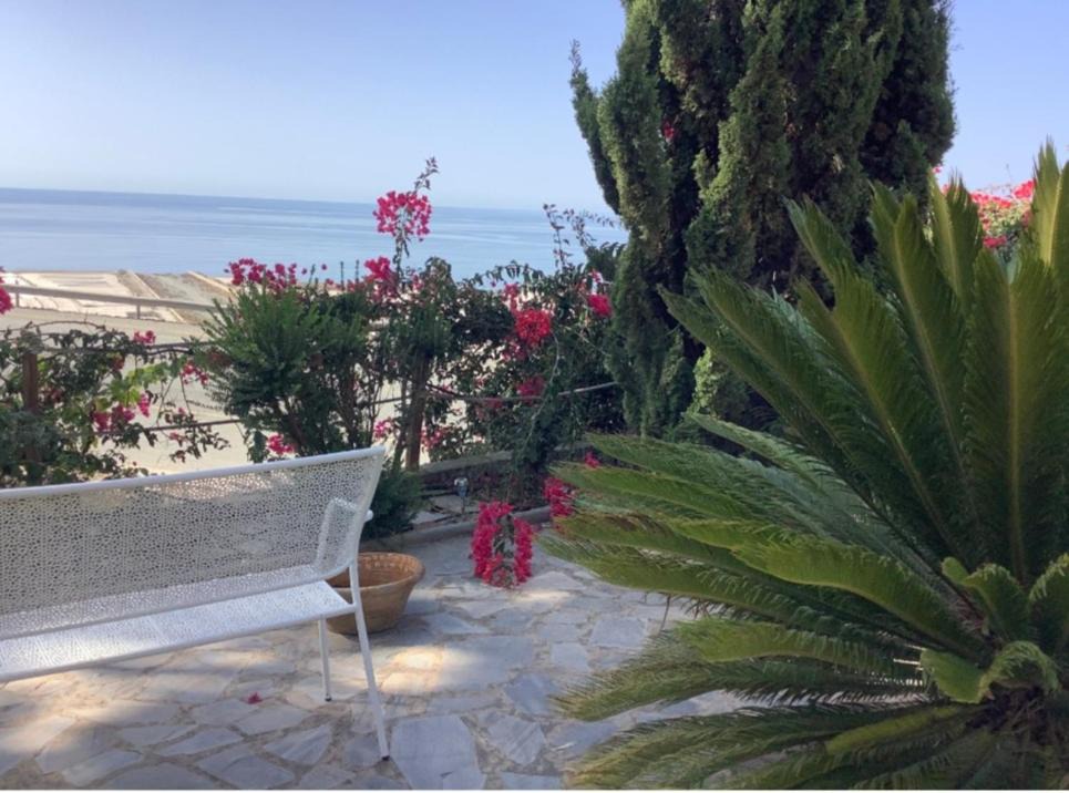 Photo of Patio Balcony in Albunol