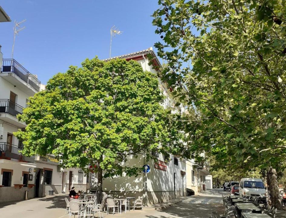 Photo of Others in Pinos Genil
