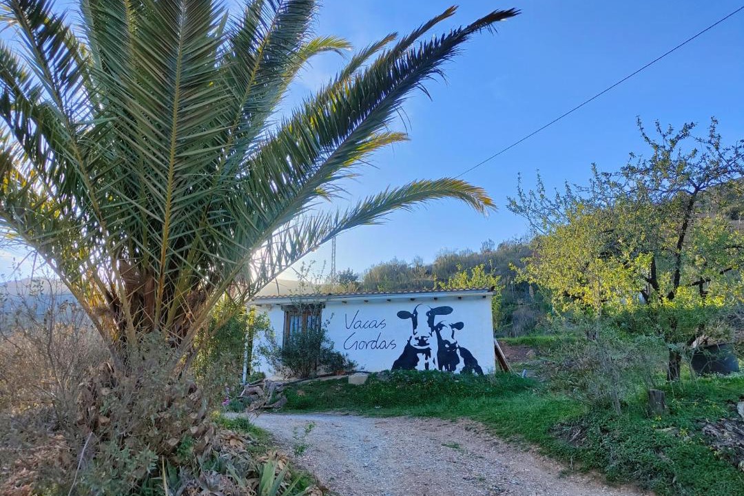 Photo of Others in Gualchos
