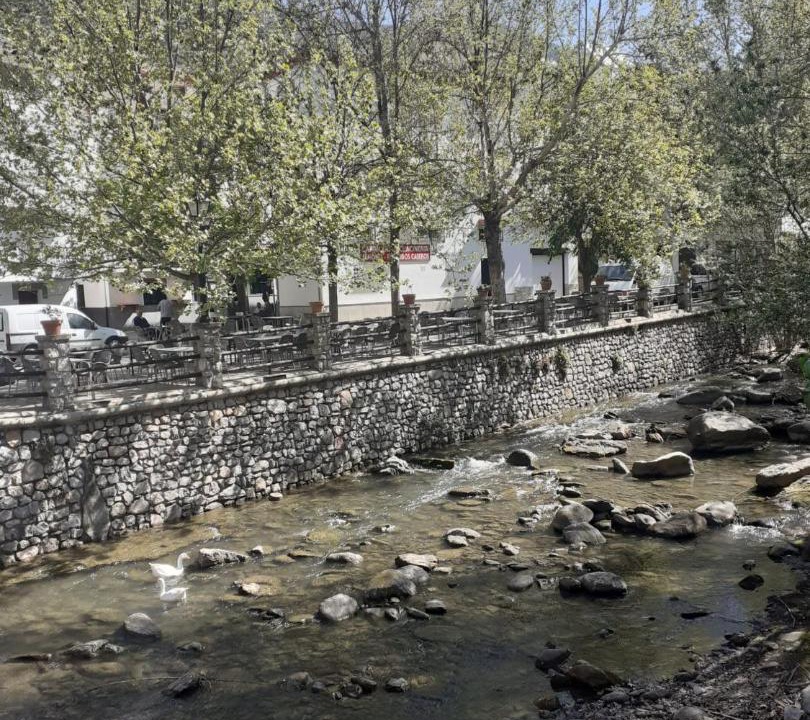 Photo of Others in Pinos Genil