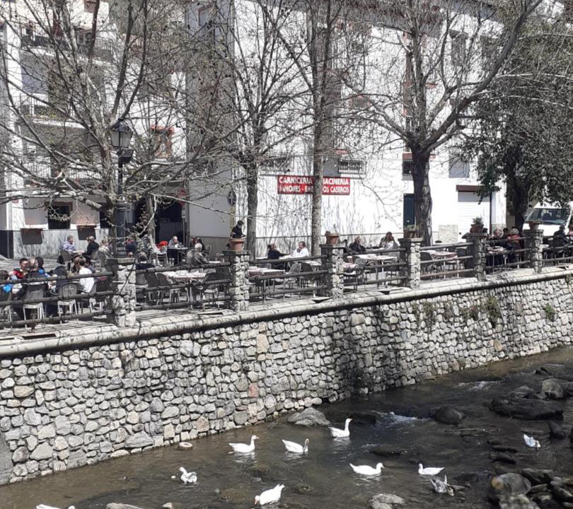 Photo of Others in Pinos Genil