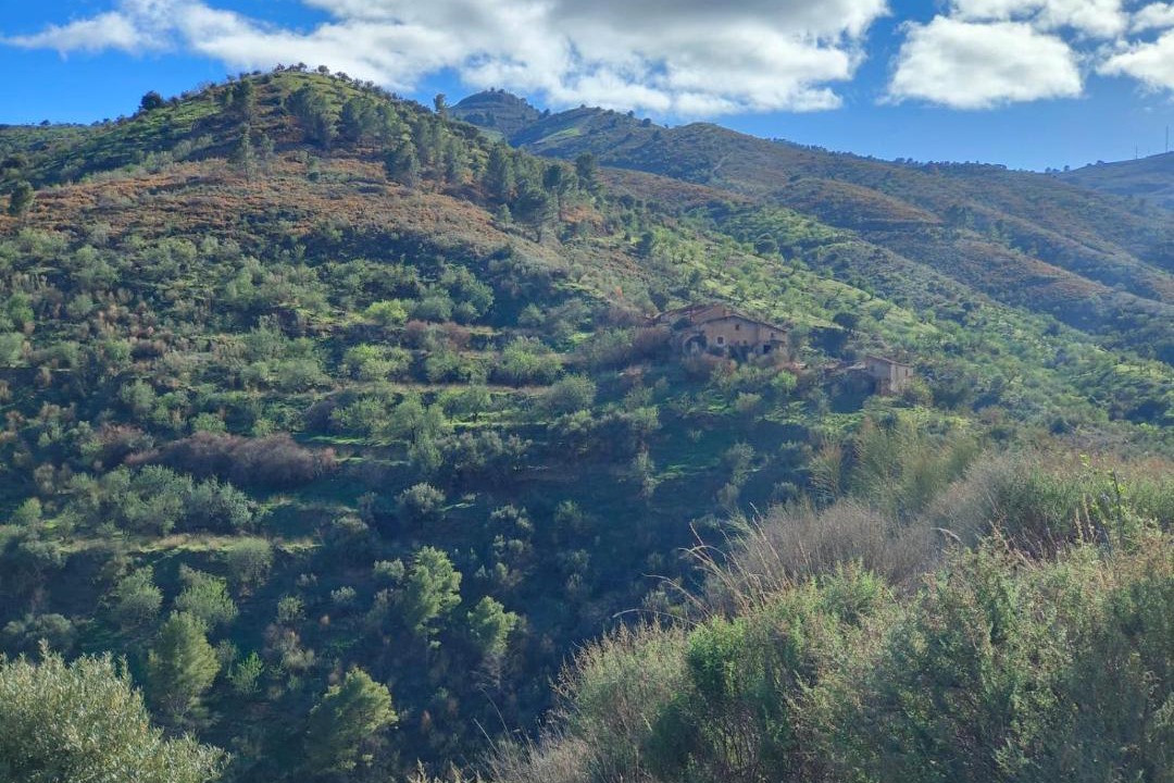 Photo of Others in Gualchos