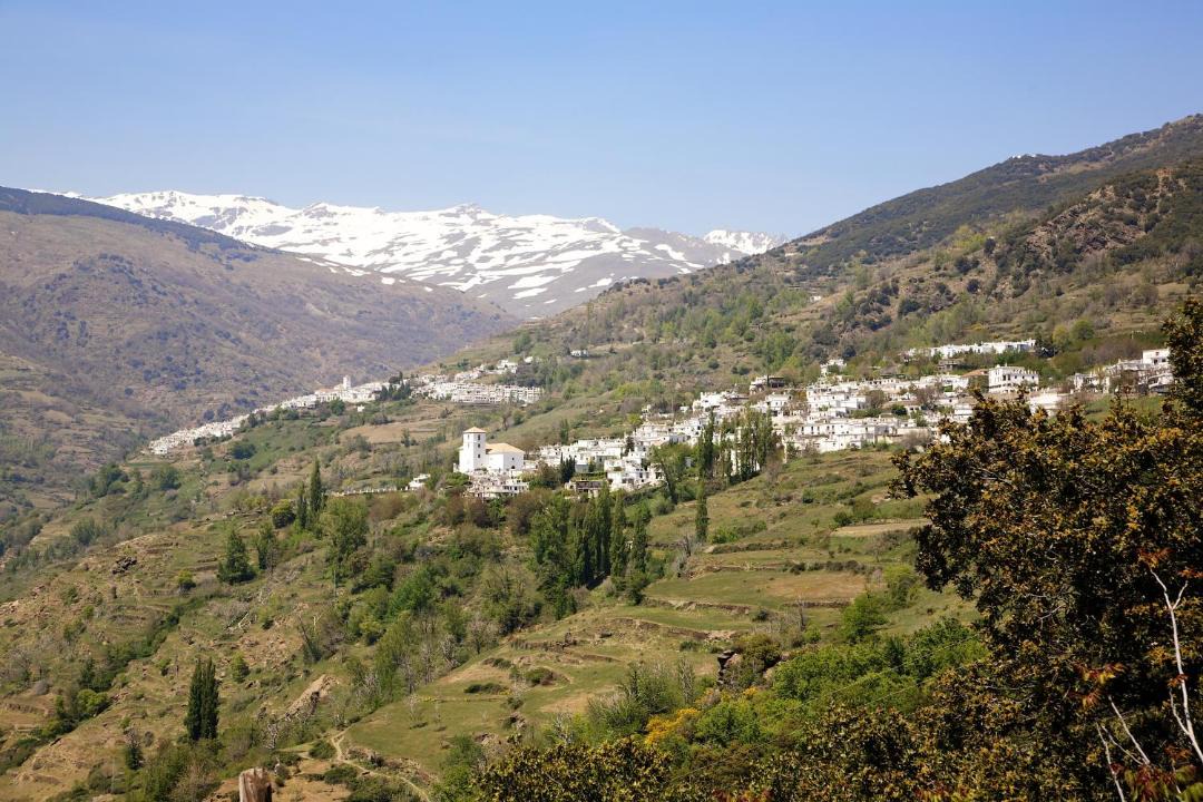 Photo of Others in Bubion
