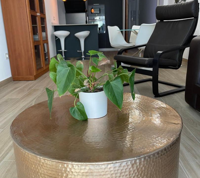 Photo of Livingroom in Norte