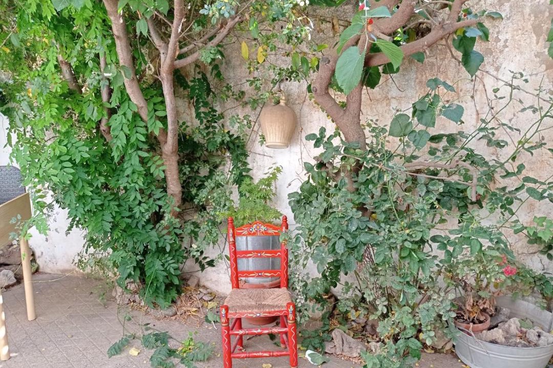 Photo of Others in Alhama de Granada