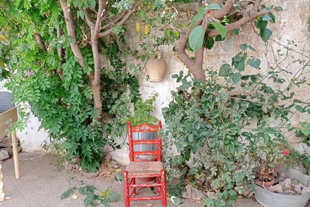 Photo of Others in Alhama de Granada