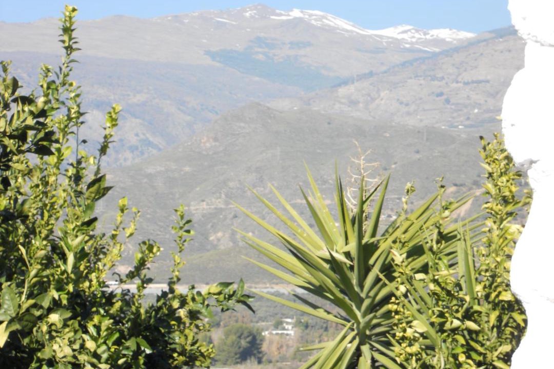 Photo of Others in Orgiva