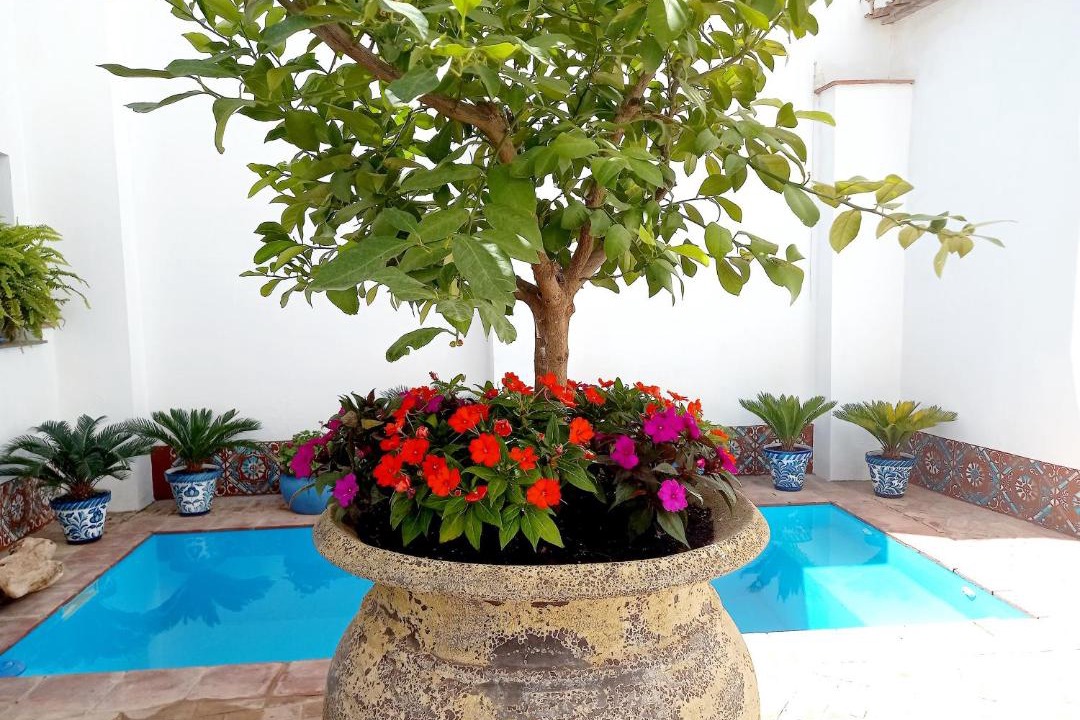 Photo of Outdoor in El Valle