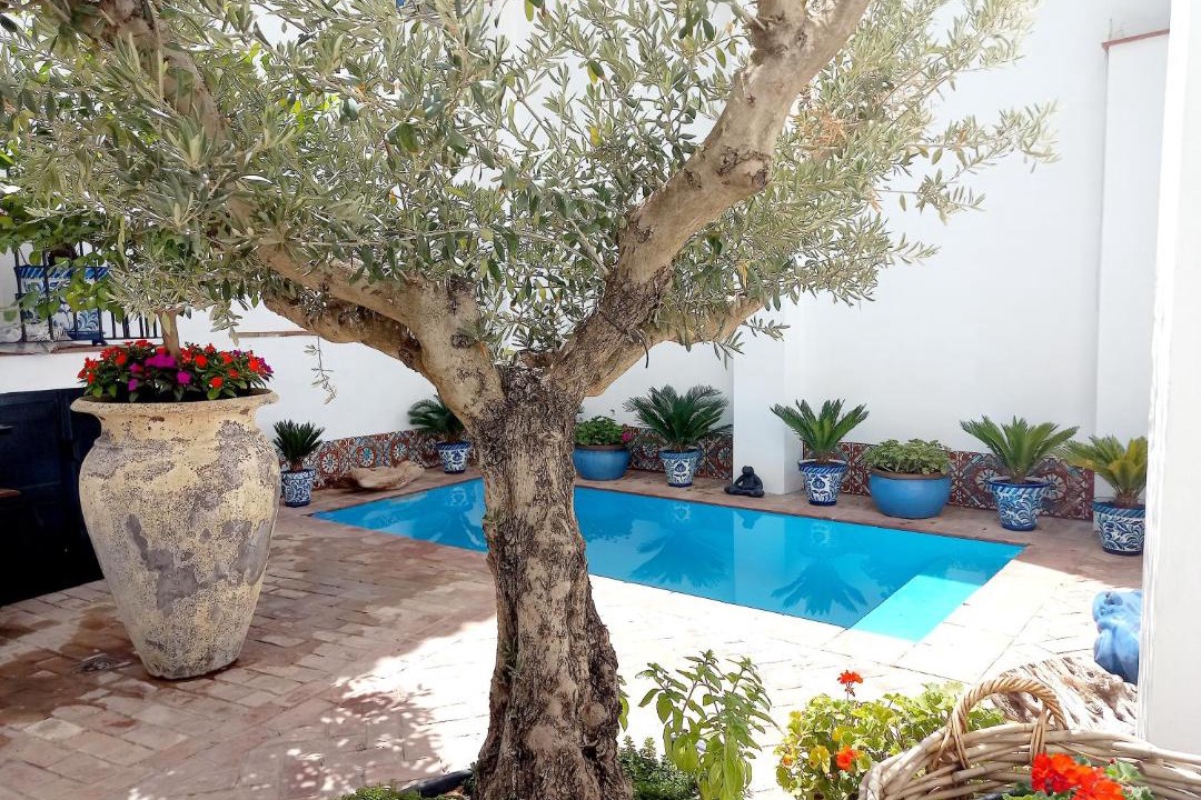 Photo of Outdoor in El Valle