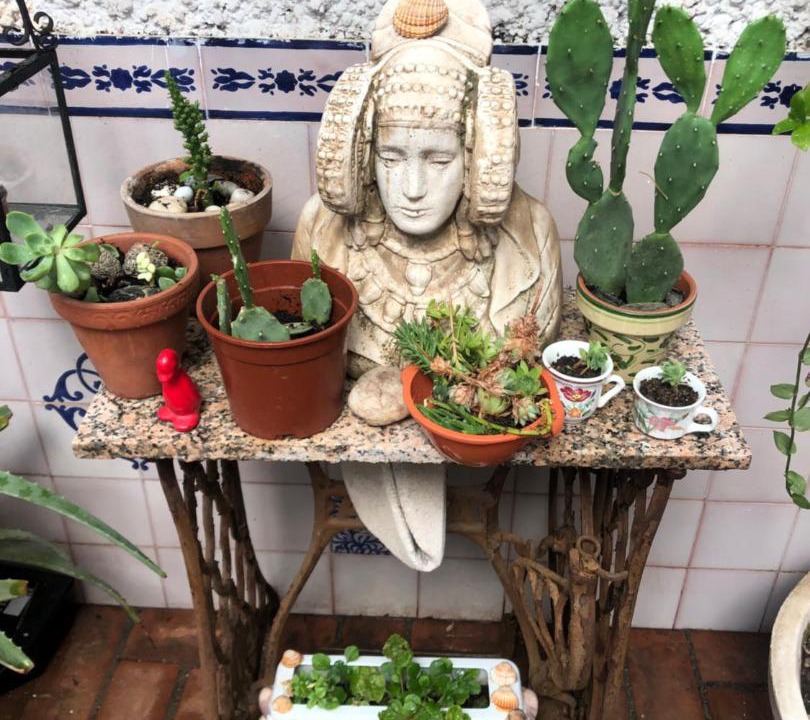 Photo of Others in Sacromonte
