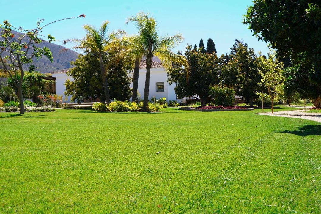 Photo of Others in Motril