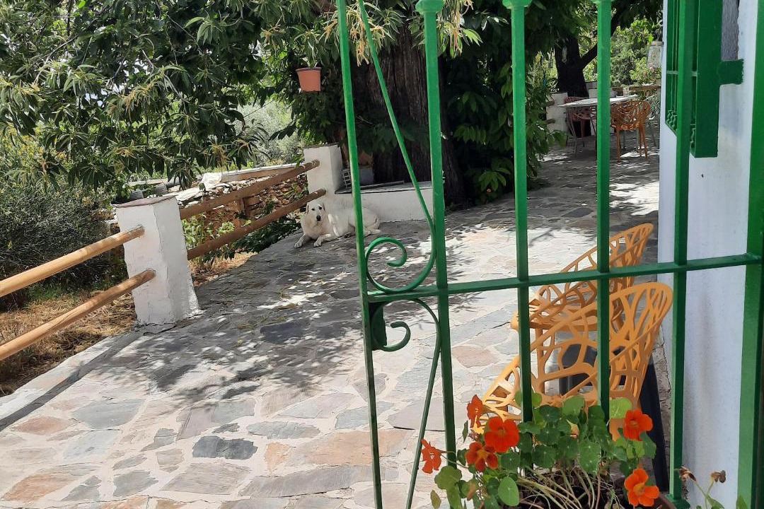 Photo of Patio Balcony in Canar