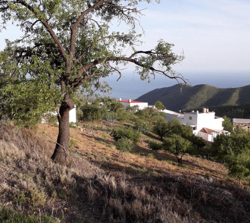 Photo of Others in Sorvilan