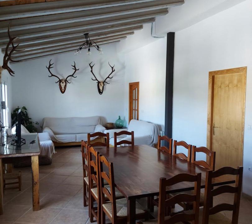 Photo of Livingroom in Castril