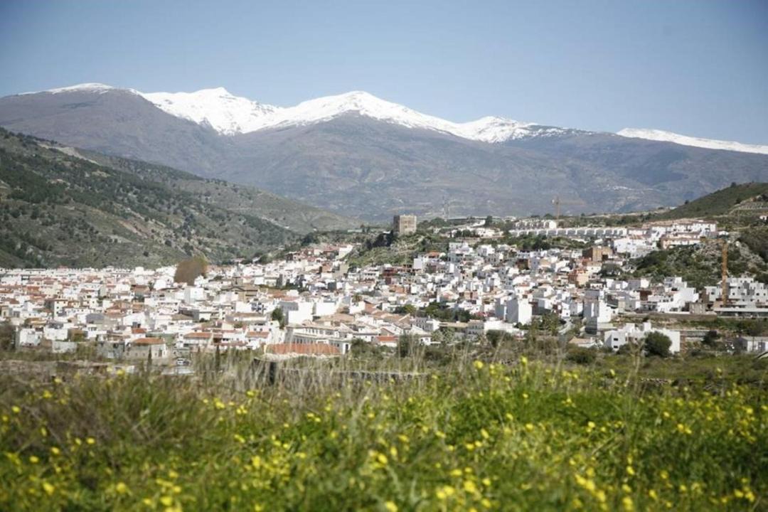 Photo of Others in Velez de Benaudalla