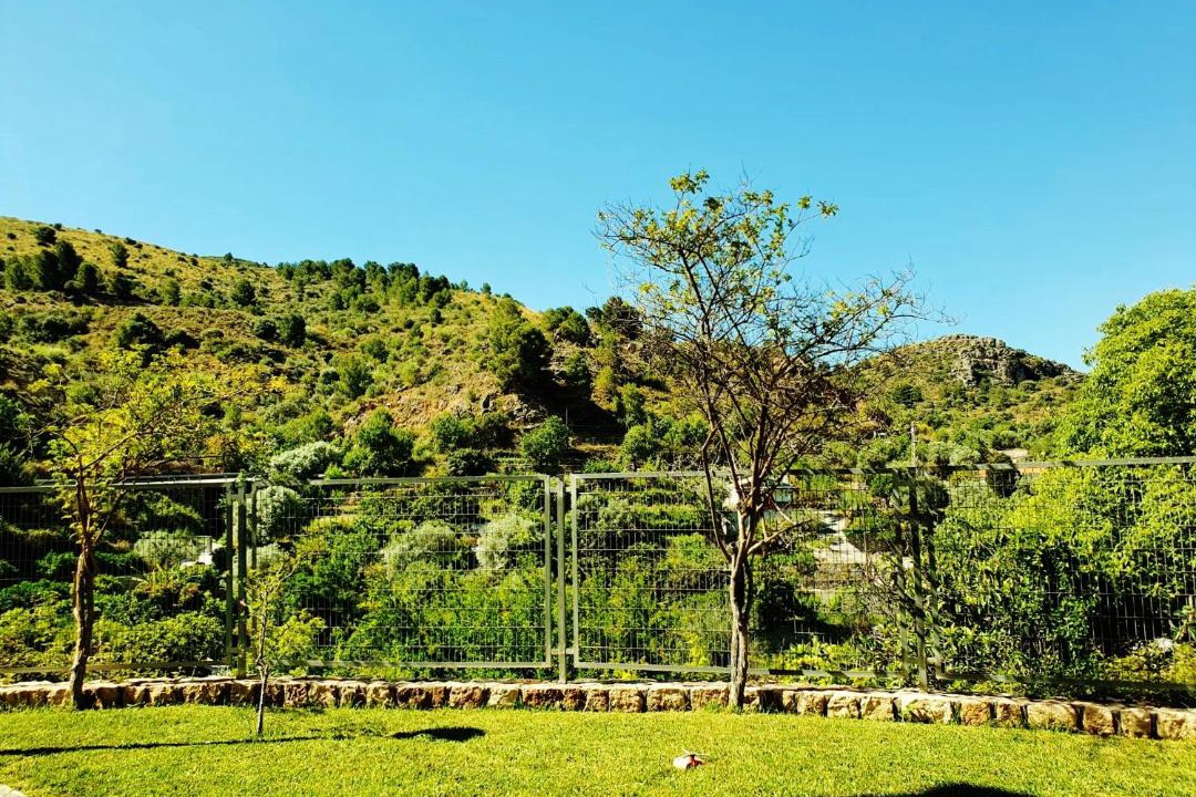 Photo of Others in Velez de Benaudalla