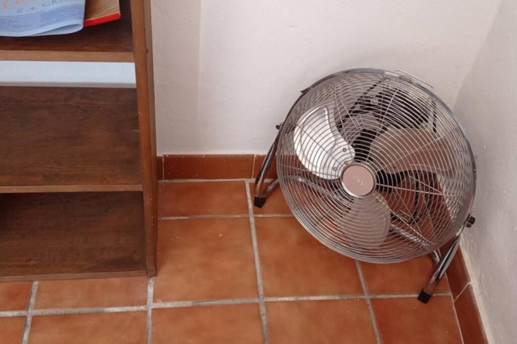 Photo of Others in Salobrena