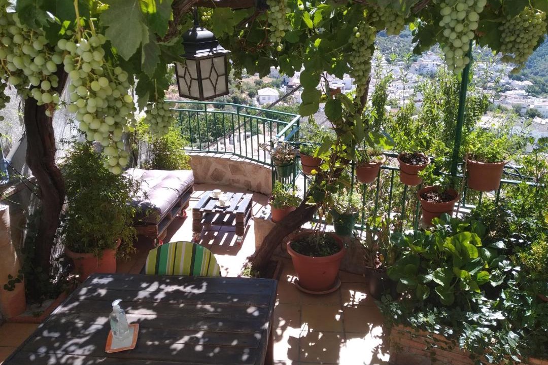 Photo of Patio Balcony in Guejar Sierra
