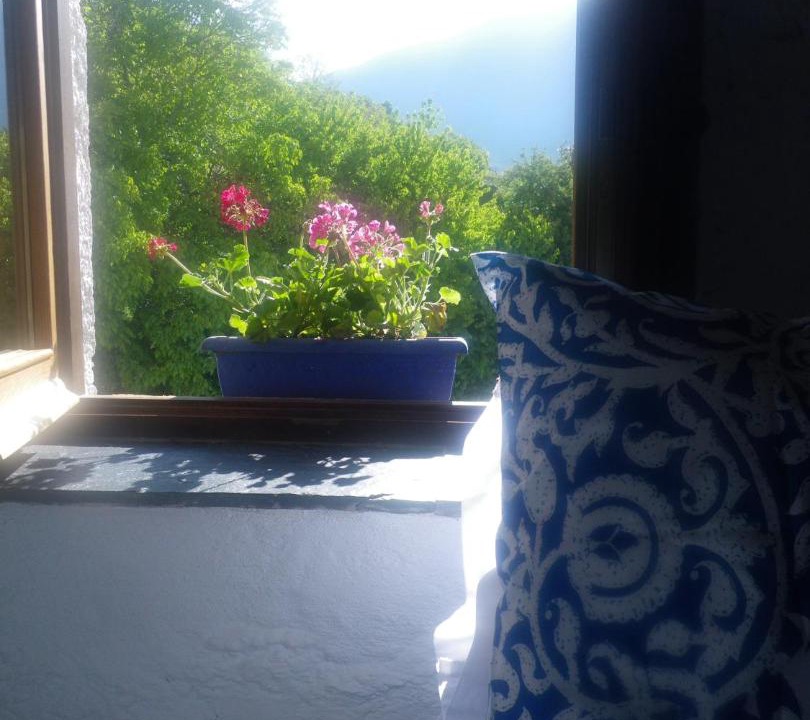Photo of Others in Trevelez