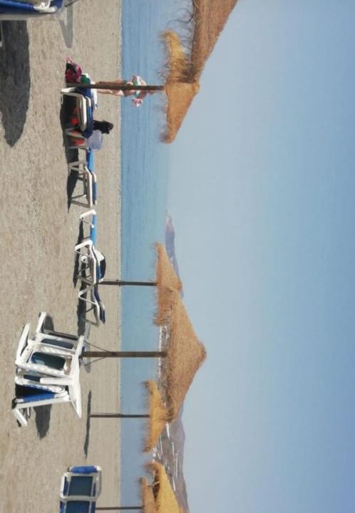 Photo of Others in Sorvilan