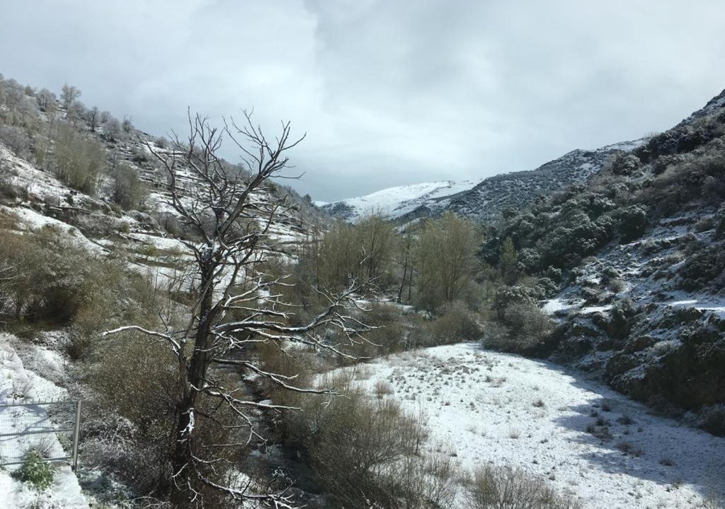 Photo of Others in Trevelez