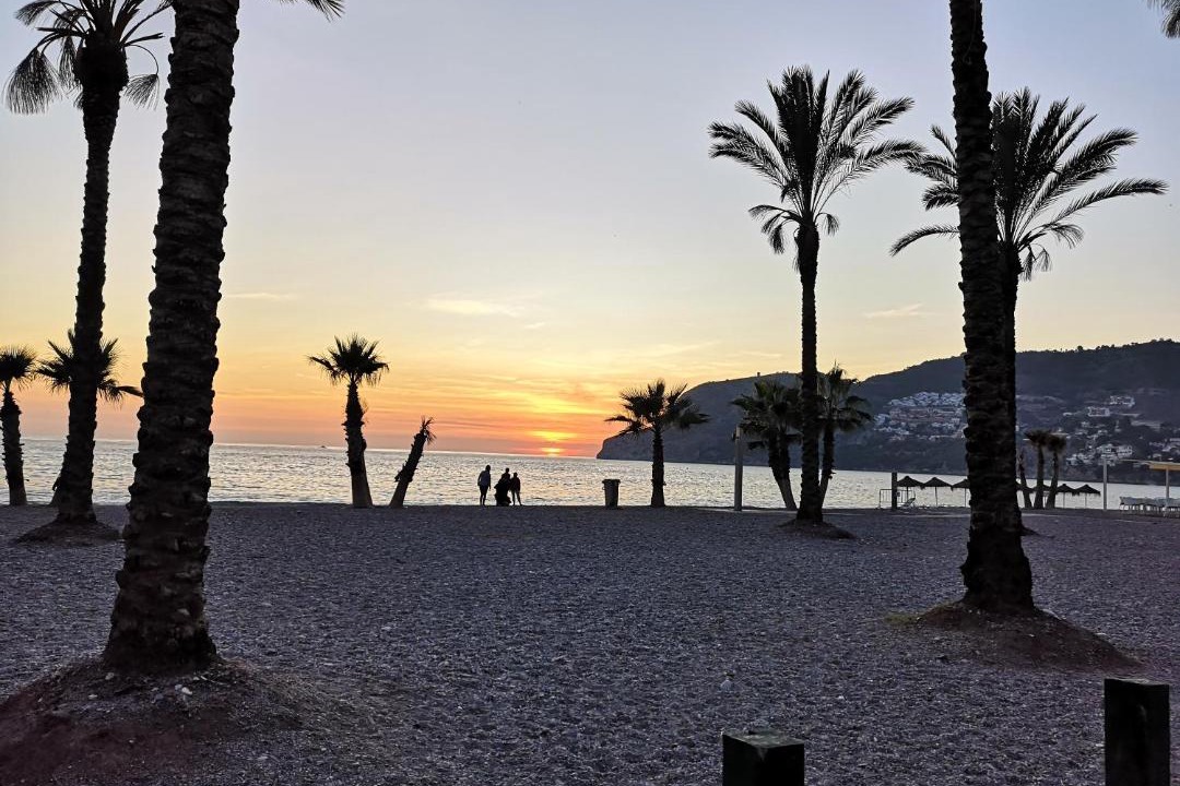 Photo of Others in La Herradura