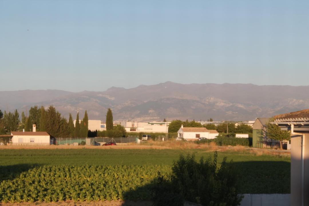 Photo of Outdoor in Chauchina