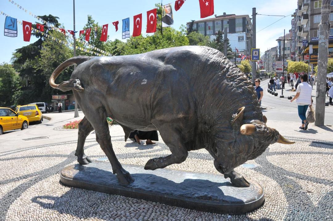 Photo of Others in Rasimpasa