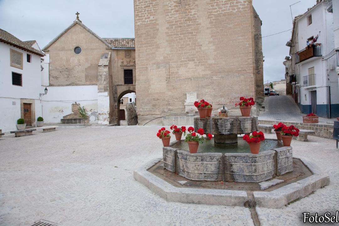 Photo of Others in Alhama de Granada