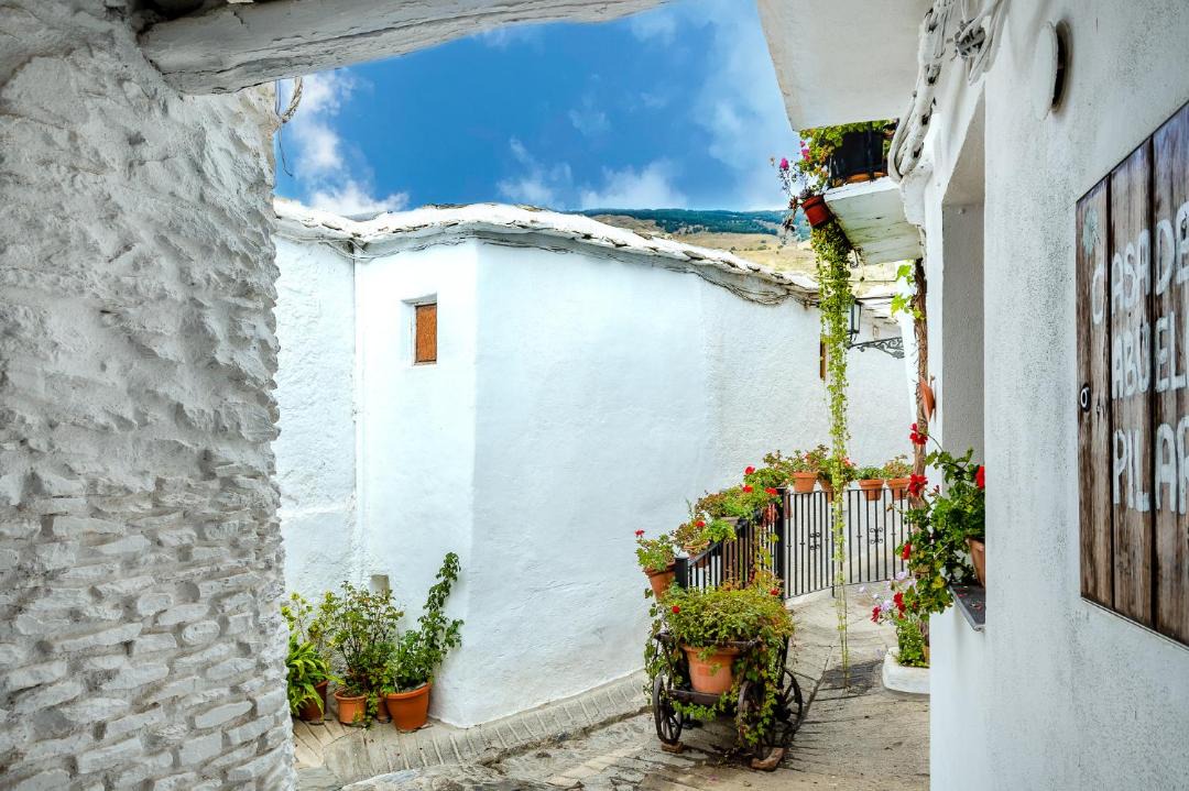 Photo of Others in Capileira