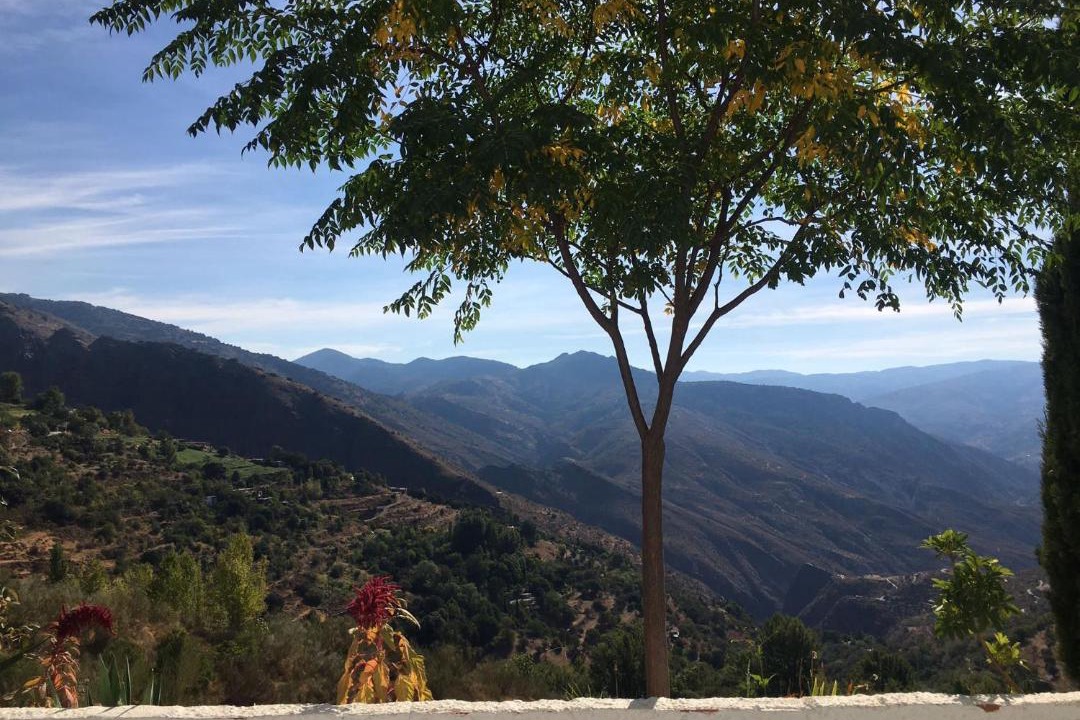 Photo of Others in Pinos del Valle