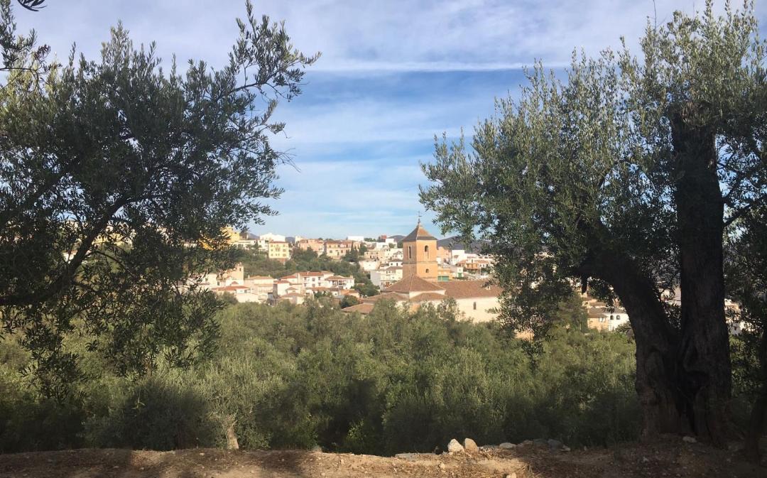 Photo of Others in Pinos del Valle