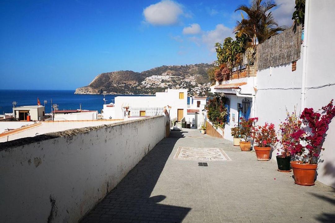 Photo of Others in La Herradura