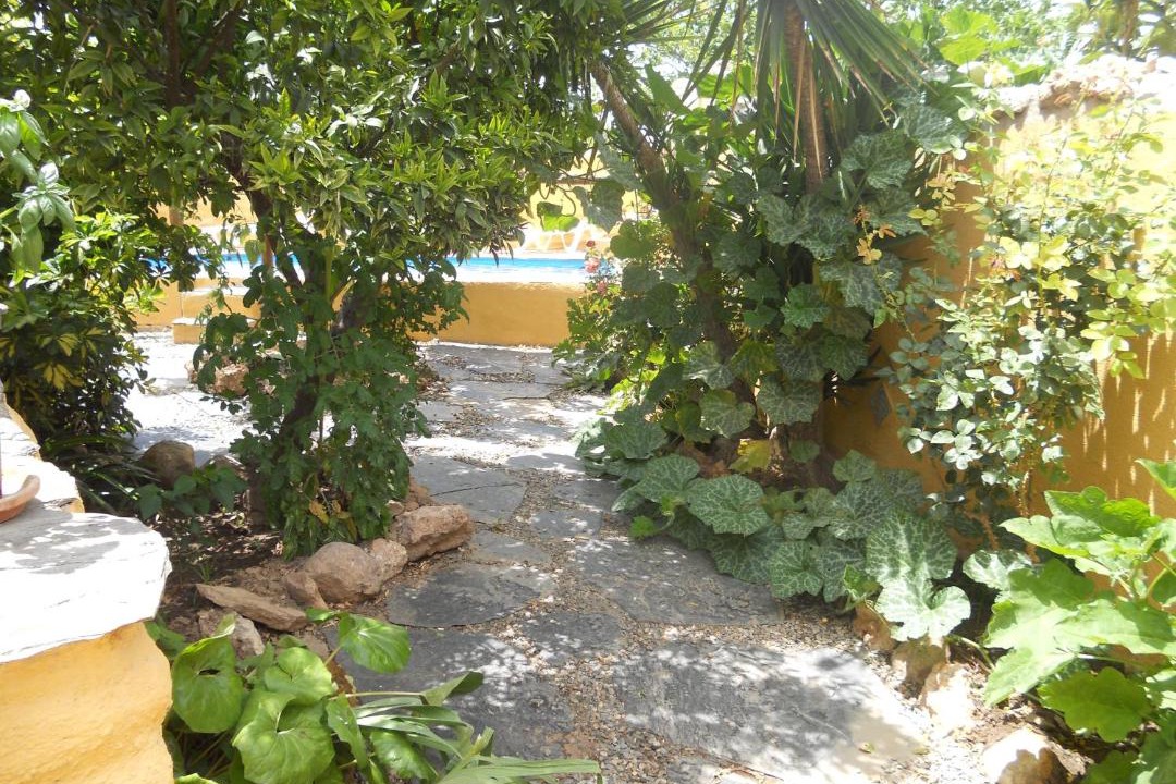 Photo of Others in Orgiva