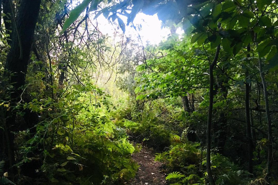 Photo of Outdoor in Mecina Fondales